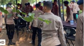 Oplus_16908288