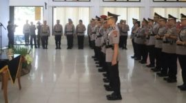 Oplus_16908288