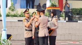Oplus_16908288