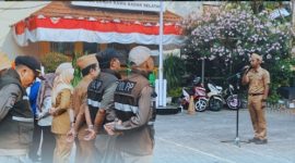 Oplus_16908288