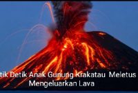 Oplus_16908288