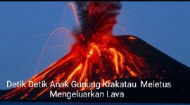 Oplus_16908288