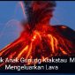 Oplus_16908288