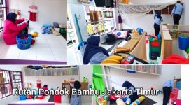 Oplus_16908288