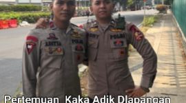 Oplus_16908288