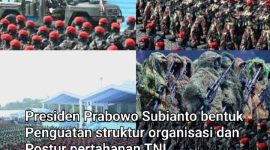 Oplus_16908288